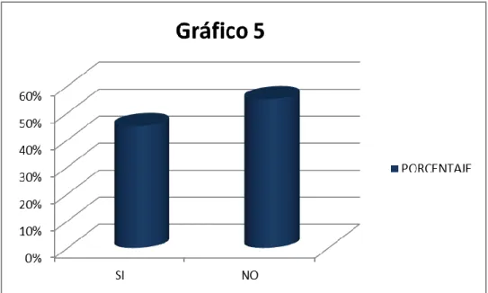 Gráfico :  5                     Fuente: Fausto Lema Caranqui 