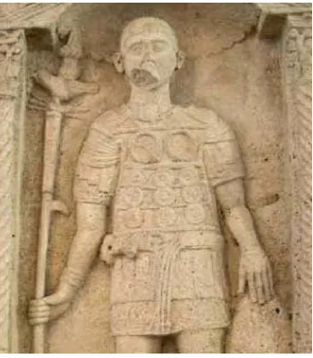 Figura 6 