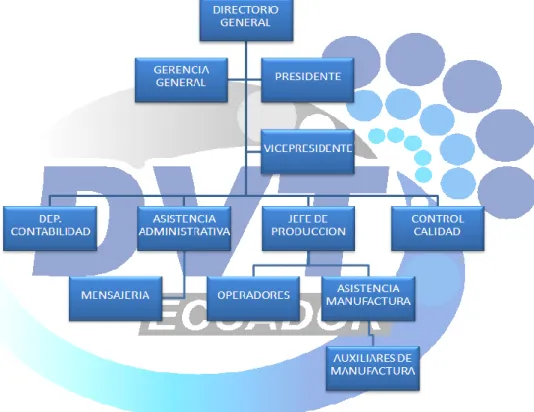 Figura 2. Organigrama de la compañía DVT del Ecuador S.A.; Obtenido: Proceso de  investigación; 2015