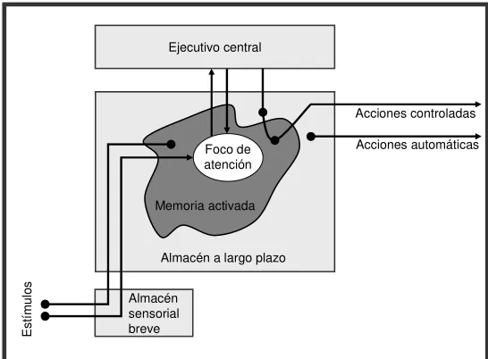 Figura 1.5: Esquema simplificado del modelo de Cowan (1988). 
