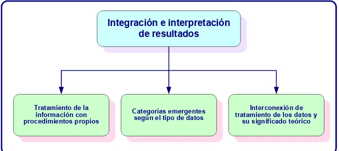 Figura Nº 19: Elementos que definen la integración e interpretación de los resultados  