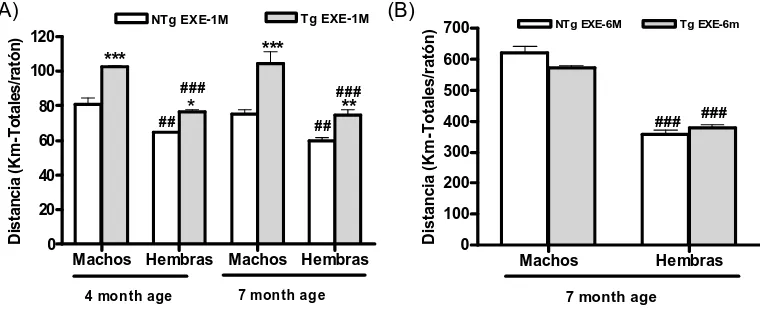 Figura 9. Distancia en la rueda de actividad. (A) Se aprecia un efecto del genotipo y del sexo a los 4 y 7 meses de edad con un mes de EF