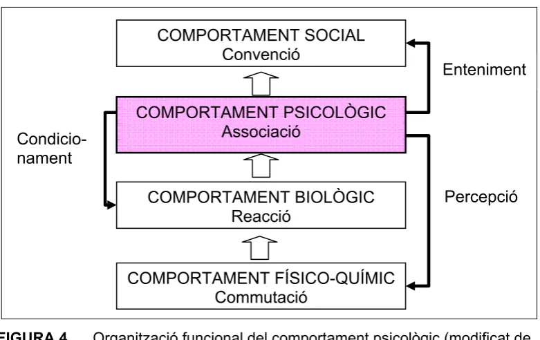 FIGURA 4. 