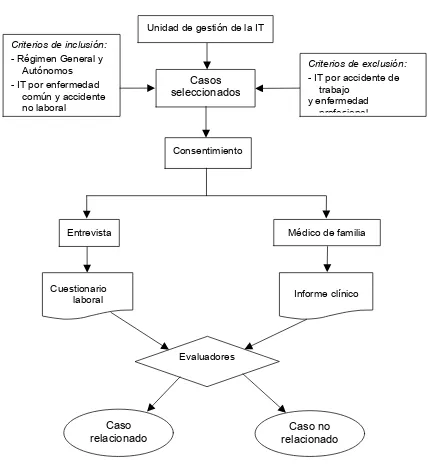 Figura 9.  Flujo de la identificación de casos, recogida de la información y evaluación de los casos