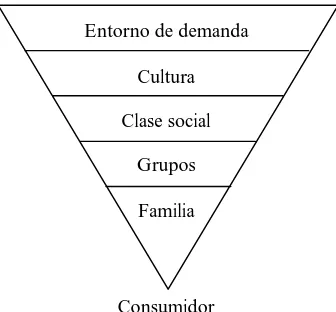 Figura 1.1. Estructuras externas que afectan al comportamiento del consumidor 