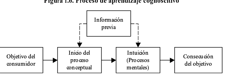 Figura 1.6. Proceso de aprendizaje cognoscitivo 