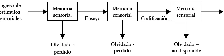 Figura 1.7. Procesamiento de la información y almacenamiento de memoria 