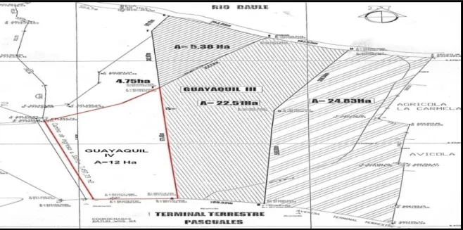 Gráfico 1. Ubicación del Sector Guayaquil IV. 