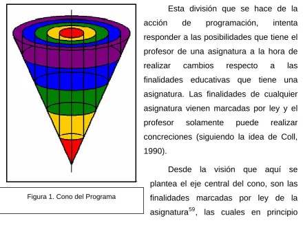 Figura 1. Cono del Programa 