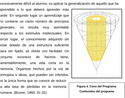 Figura 4. Cono del Programa. 