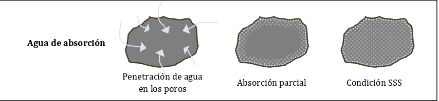 Figura 3.1 – Absorción de agua por los áridos 