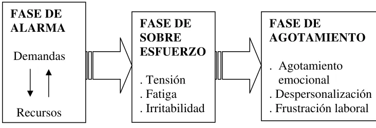Figura 3: Proceso y evolución del Burnout  