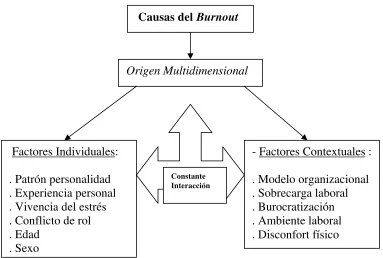 Figura 6: Causas del Burnout 