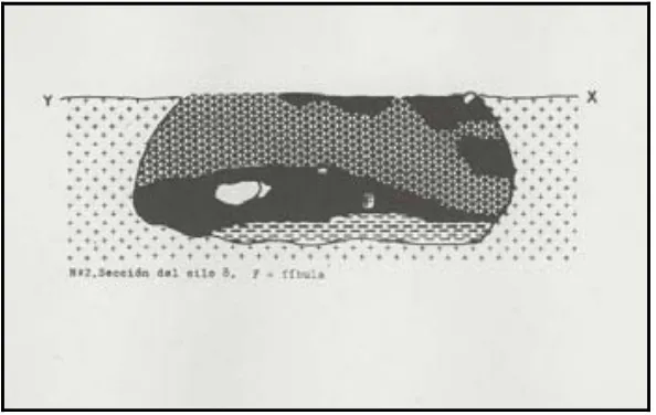 Fig. 11: Detall de la secció d’una de les Sitges de la UAB (Maya, 1985). 