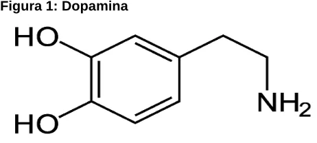Figura 1: Dopamina 
