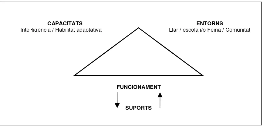 Figura 2.1 Estructura de la definició de retard mental  