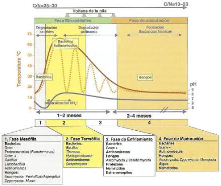 Figura 1.5.1. Sucesión microbiana y ambiental durante el compostaje (Moreno y Mormeneo, 2008)