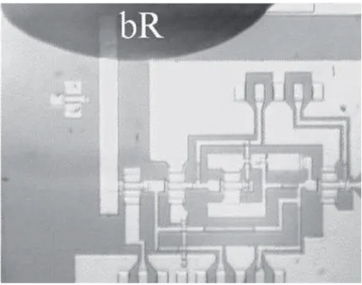 Fig. 2. Micrograph of an electrical biosensor based in the transduction of a non-redox protein, the bacterorhodopsin bR, from Xu et al