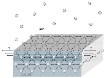 Figure 2.2. Surface tension scheme at the air|water interface. 
