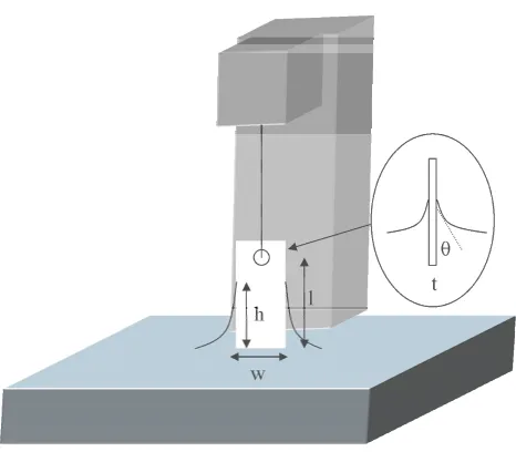 Figure 2.3. Surface pressure measurement scheme using the Wilhelmy Balance. 