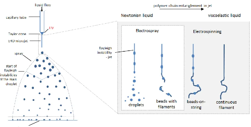 Figure 1-1 Schematics of (a) typical electrospray configuration with Taylor cone and electrohydrodynamic microjet and (b) jet breakup modes in Newtonian and viscoelastic liquids