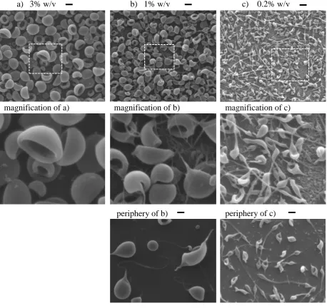 Figure 2-5 Particle morphologies obtained from 350 kDa PMMA/MEK solutions;  scale bars: 1µm