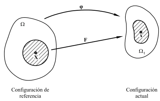 Figura D.1: Esquema de la deformación de un medio continuo. Transformacióntensor gradiente de deformación ϕ y F.