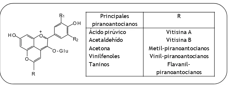 Figura 1.8. Estructura química de los piranoantocianos. 