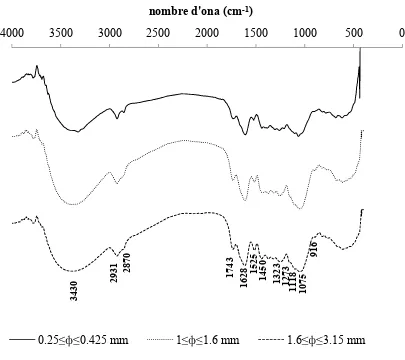Figura 7. Espectre FTIR de diferents fraccions de rapa de raïm.  