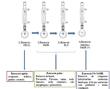 Figura 9. Extraccions portades a terme i compostos extrets per a cadascuna de les etapes