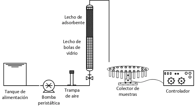 Figura 4.2 Esquema del montaje experimental utilizado en el estudio de la bioadsorción en continuo