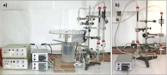 Figura 4.3 Fotografías del montaje experimental utilizado en el estudio de la bioadsorción en continuo: a) General y b) Columnas conectadas en serie
