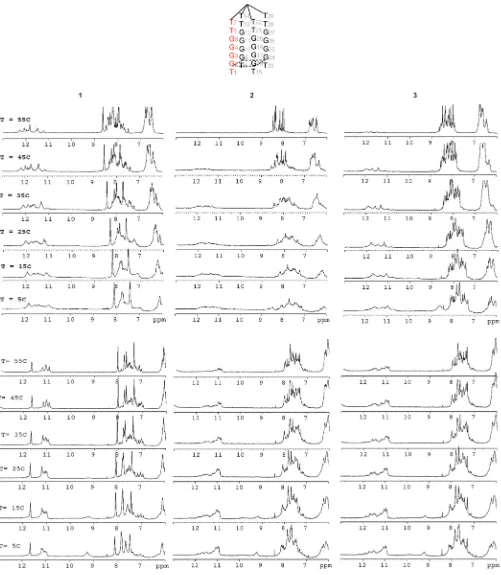 Figure 3. Top: General scheme of a tetra-end-linked quadruplex showing the numeration of the residues as mentioned in the text