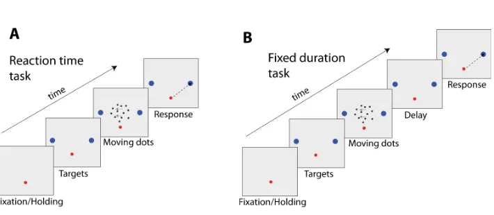Figure 1.3: Illustration of a RDM task. The trial starts with the appearance ofa central visual stimulus