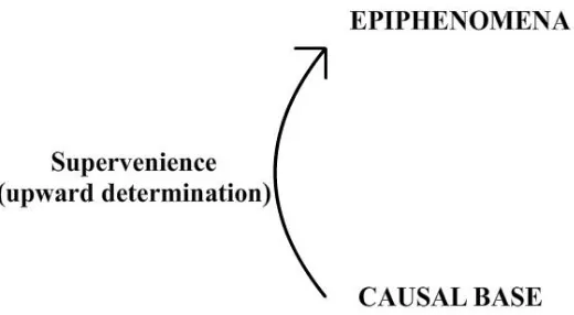 Figure 2.2: Supervenience and Downward causation affect, respectively, the emergent  phenomena and the causal base