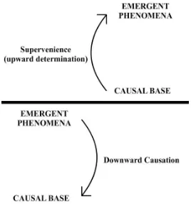 Figure 2.3: Diachronic reflexive downward causation: supervenience and downward  causation don‘t happen at the same time (synchronically)