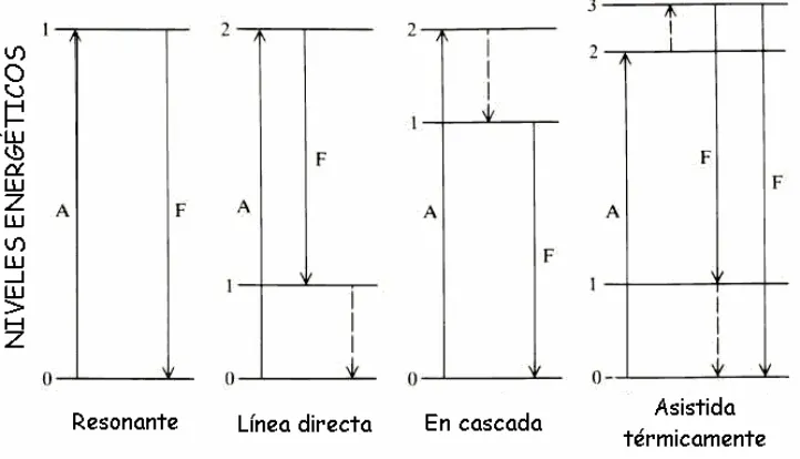 Figura 2.7. Tipos de fluorescencia. 