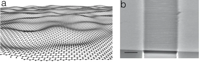 Figure 1.1: (a): a perspective view on random rippling in free-standing graphene (Meyeret al., 2007)