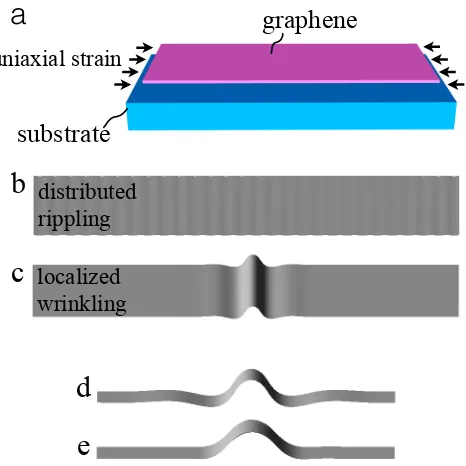 Figure 3.1: A setup of monolayer graphene upon uniaxial compression is presented in (a).Representative simulation of a ripple-to-wrinkle transition of is given in (b, c)