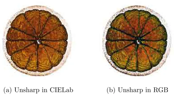 Figure 4.5: Comparison between applying unsharp masking in CIELab(a) and RGB color spaces (b)