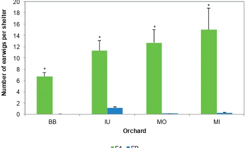 Figure II-2. Number of Forficula auriculariaColumn bars market with an asterisk indicate significant differences among earwig species within orchards according to Welch’s test ( and Forficula pubescens (mean ± SE) per orchard