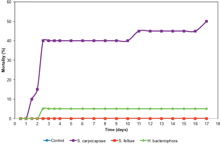 Figure IV-2. Evolution over days of European earwig mortality due to S. carpocapsaebacteriophorabacteriophora, S