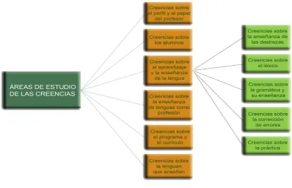 Figura 1. Áreas de estudio de las creencias de los docentes 