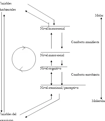 Figura 3: Modelo de Penetración (Brenner, 1986). 