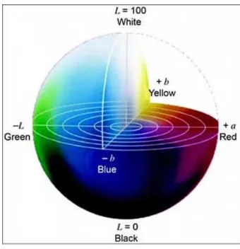Figura 9. Diagrama del espacio de color CIELab (L*, a*, b*). 