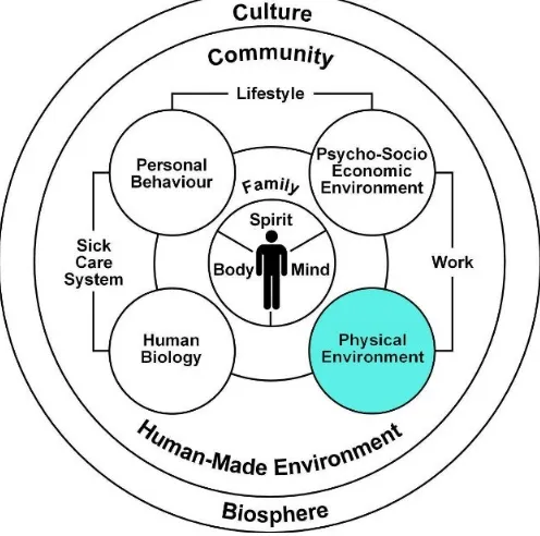 Figure 3 The mandala of health - Mandala de la santé (Hancock & Perkins, 1985)