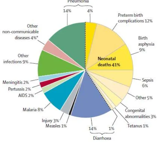 Figura 2. Causes de mortalitat infantil a nivell mundial 5