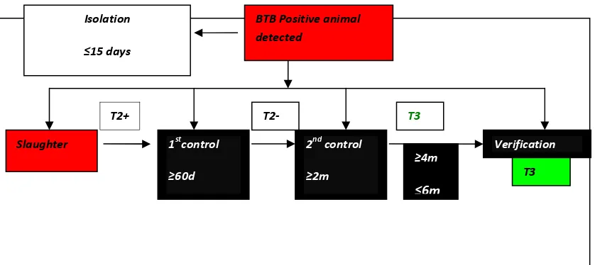 Figure 6. Schematic procedure for achieving the different bTB herd qualifications according to national legislation   