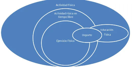 Figura 1.3: Componentes de la Actividad F´ısica