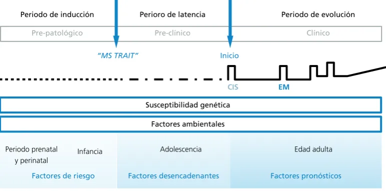 Figura 1. Representación de la línea de evolución de la Esclerosis Múltiple 